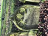 image of grave number 969781